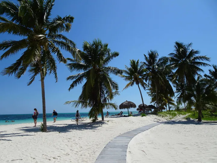 Palm trees, white sand, and turquoise water on a beach in Cuba